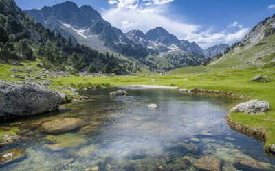 Exploring Biodiversity and Geology on Hiking Trails in the Pyrenees